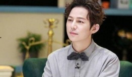 何炅爆料绯闻视频播放,揭秘娱乐圈背后的真相