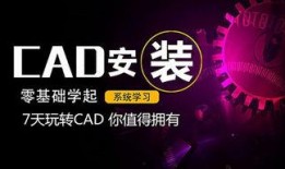 食品爆料揭秘视频教程完整版,视频教程完整版深度解析