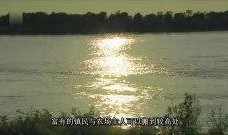 河流在线观看,探索河流之美