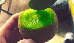 抖音网红有黑料吃瓜资源,黑料与吃瓜资源背后的真相