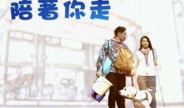 陪着你走在线观看,穿越时光的温暖陪伴