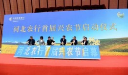 衡水新闻昨天爆料