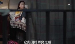 三个爷爷大爆料视频,三位爷爷倾情讲述家族往事与人生智慧