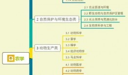 搞笑传球爆料视频大全集,欢乐瞬间尽收眼底