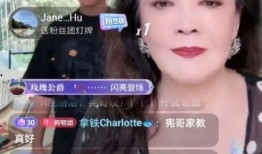 韩国孙子直播爆料事件视频,孙子揭露惊人内幕引发热议