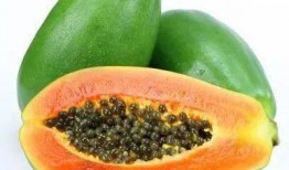 吃瓜达人免费吃瓜入口在线观看,在线观看瓜界盛宴