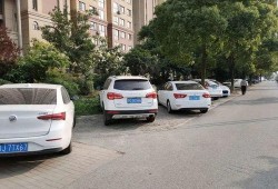 杭州车辆乱停爆料最新,城市交通秩序亟待整治