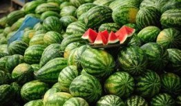云南网红吃瓜视频下载免费