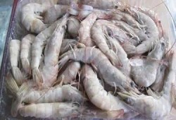 南美大白虾爆料视频大全,揭秘视频大全中的美味传奇