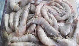 南美大白虾爆料视频大全,揭秘视频大全中的美味传奇