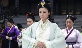 电视连续剧芈月传在线观看