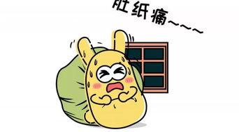 吃瓜群众照片,揭秘吃瓜群众照片背后的故事